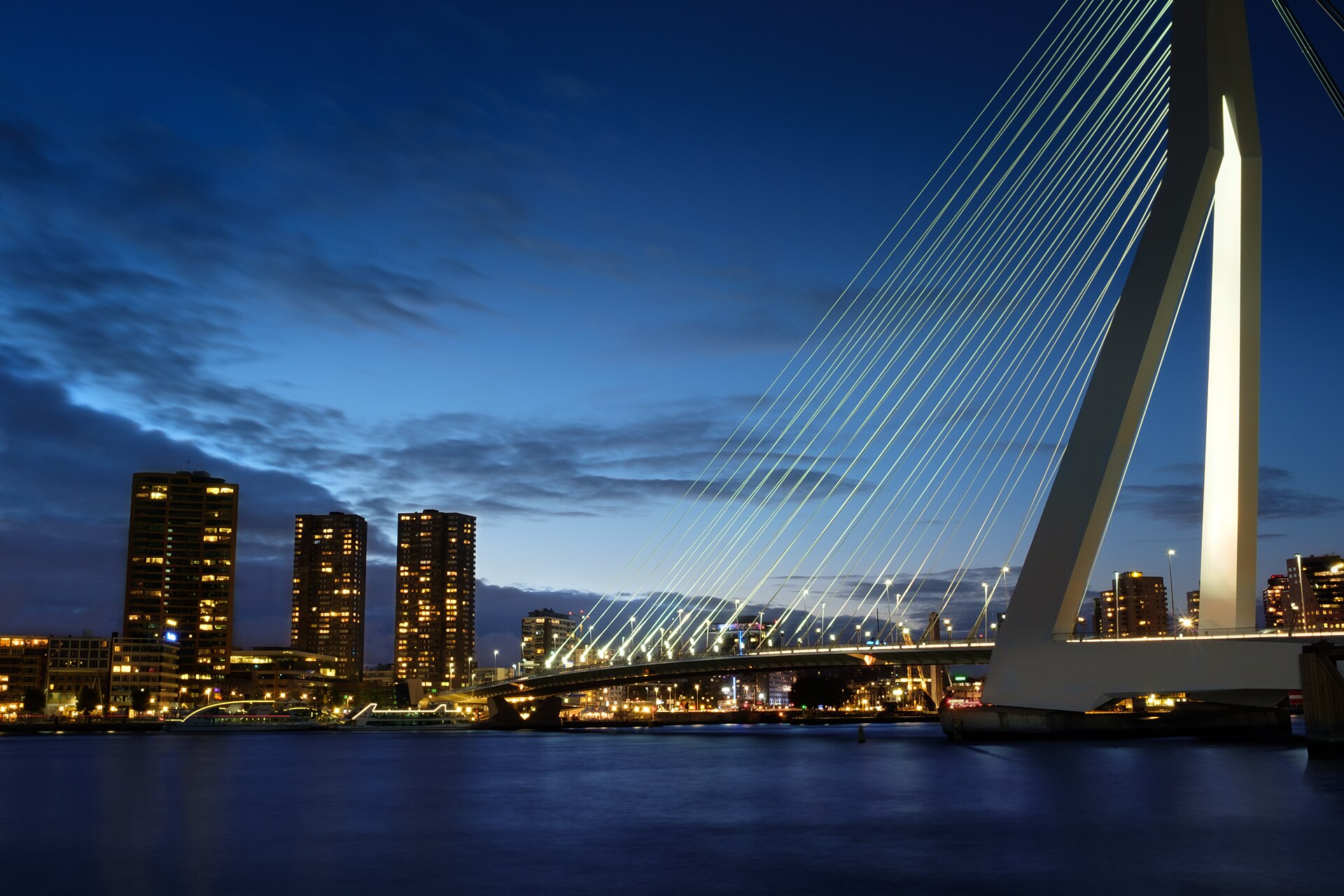 Website laten maken Rotterdam – professioneel webdesign Website laten maken in Rotterdam – lokaal stadsbeeld